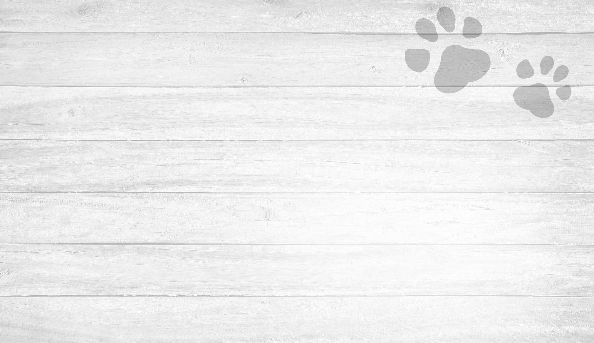 Pittsburg, TX Veterinary Services | Pittsburg Veterinary Clinic